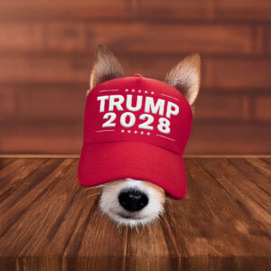 Trump Store Trump 2028 hat