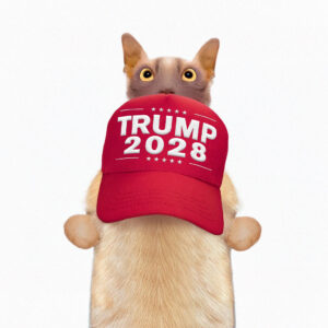 Trump sells 'Trump 2028' hats, fueling third-term speculation