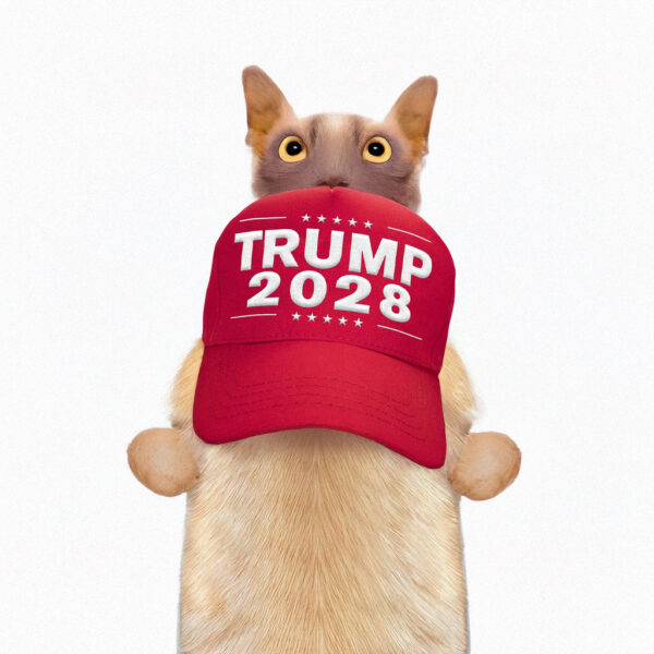 Trump sells 'Trump 2028' hats, fueling third-term speculation