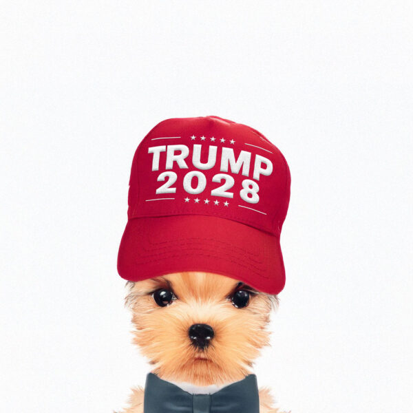 Trump sells 'Trump 2028' hats, fueling third-term speculation